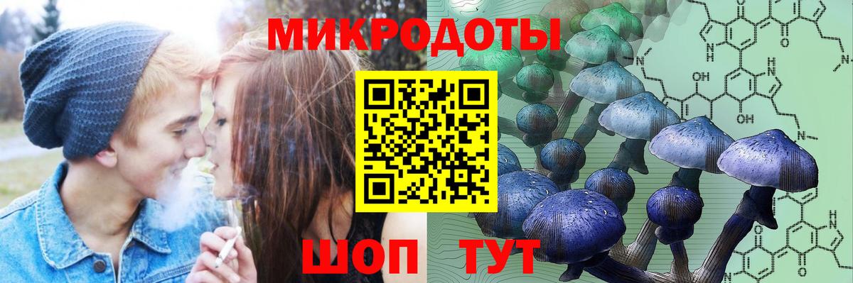 Псилоцибиновые грибы Magic Shrooms  Вход с VPN  сколько стоит  Скопин 