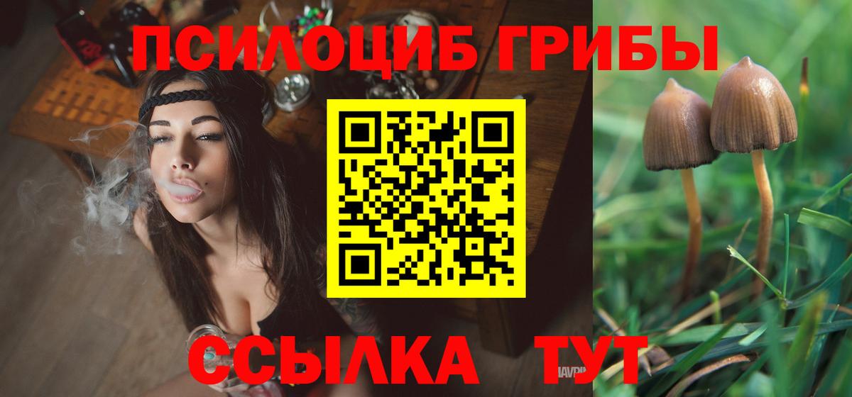 Псилоцибиновые грибы мухоморы Скопин