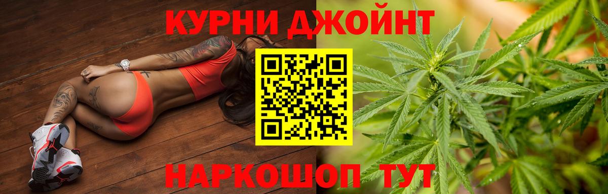 Конопля гибрид Скопин